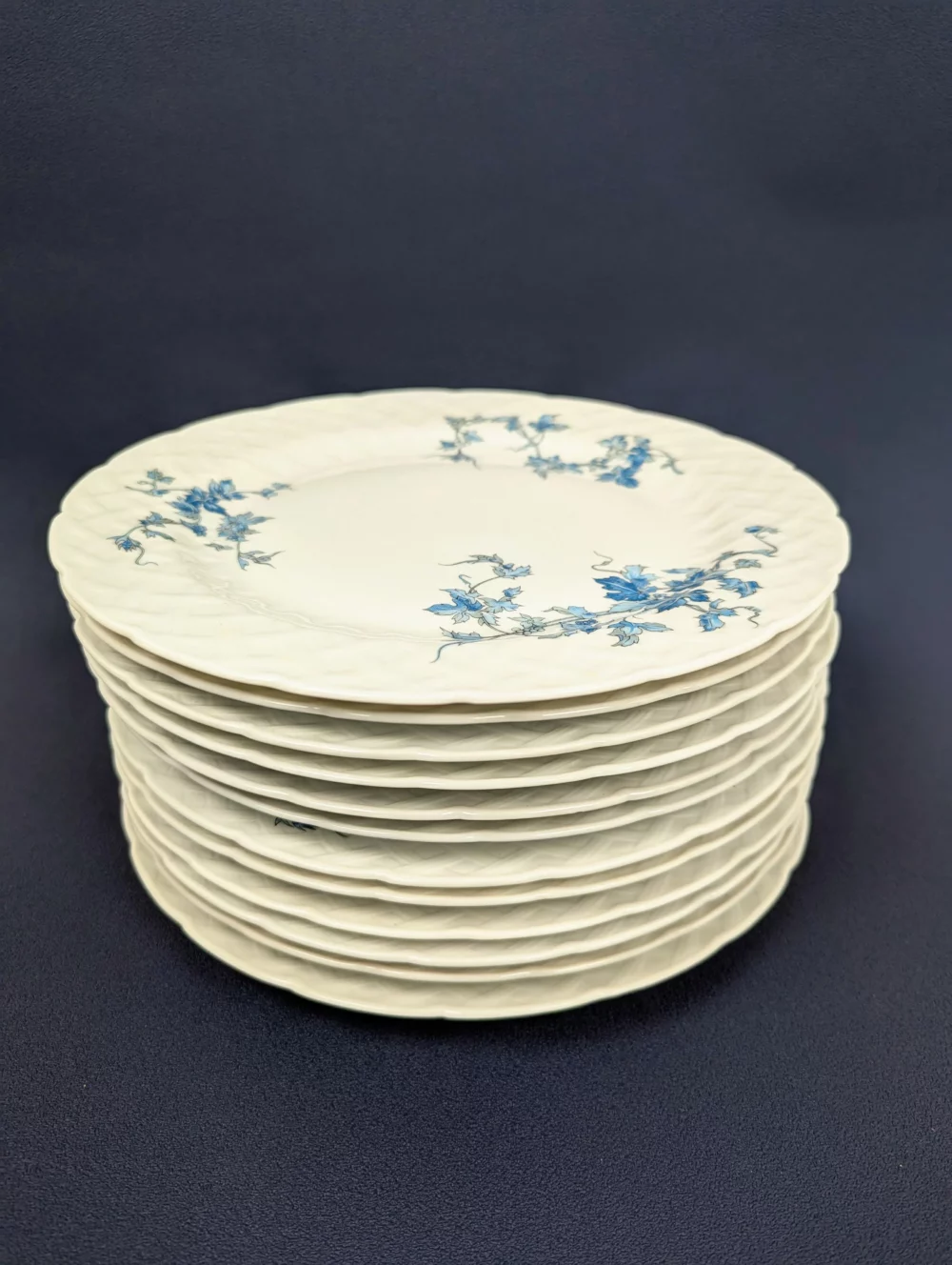 Set of 12 Bernardaud Limoges dinner plates - Image 5